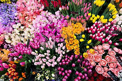 PS5《热血少女》18日上市 PS4用户可免费升级